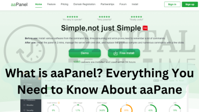 What Is Aapanel? Everything You Need To Know About Aapane