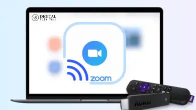 Cast Zoom To Roku