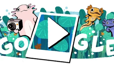 Discover The Excitement: 5 New &Amp; Fun Google Doodle Games To Try Out Today!