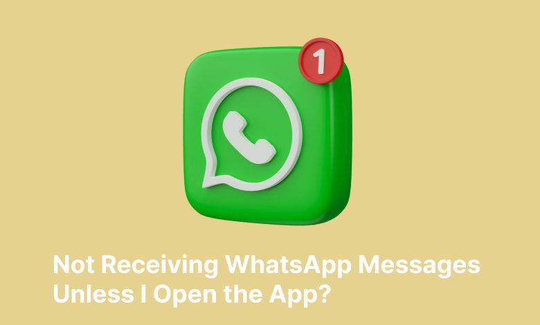How To Fix Not Receiving Whatsapp Messages Unless I Open The App