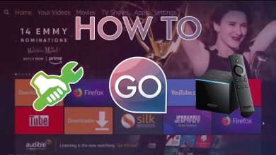 Install Nora Go On Firestick