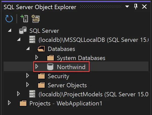 Sql Server Object Explorer Panel