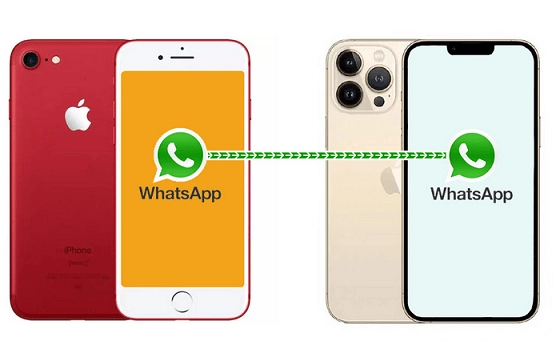 How To Transfer Old Whatsapp Chats To Your New Phone
