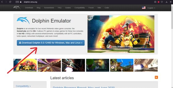 Dolphin Emulator