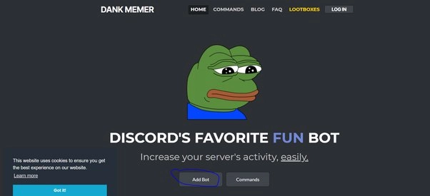 Unlock The Full Potential Of Your Server With The Top 10 Best Discord Bots