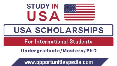 Scholarships For International Students In The Usa 2024