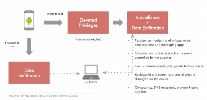 Understanding The Capabilities Of Pegasus